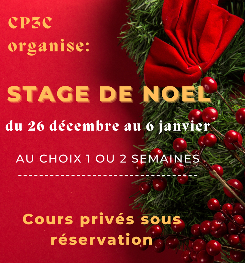 Stage Noël-Nouvel-An